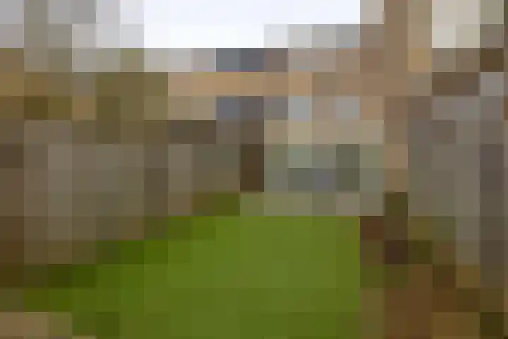 Lessingstraat 31 Venlo thumbnail 15