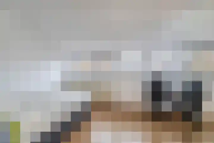 Lessingstraat 31 Venlo thumbnail 25