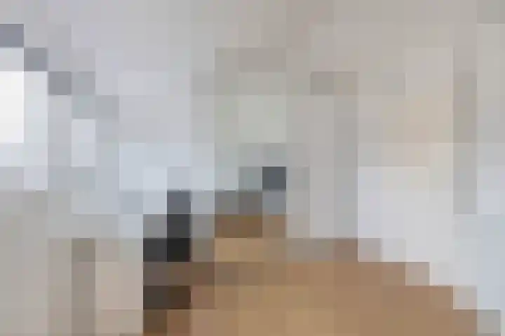 Lessingstraat 31 Venlo thumbnail 26