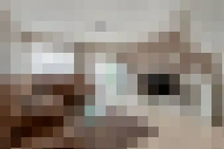 Lessingstraat 31 Venlo thumbnail 8