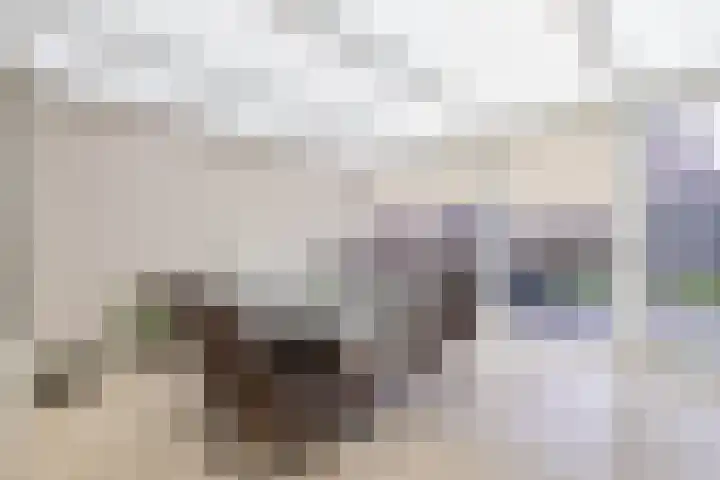 Lessingstraat 31 Venlo thumbnail 9