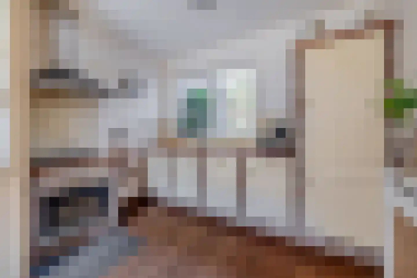 Lessingstraat 41 Venlo thumbnail 5