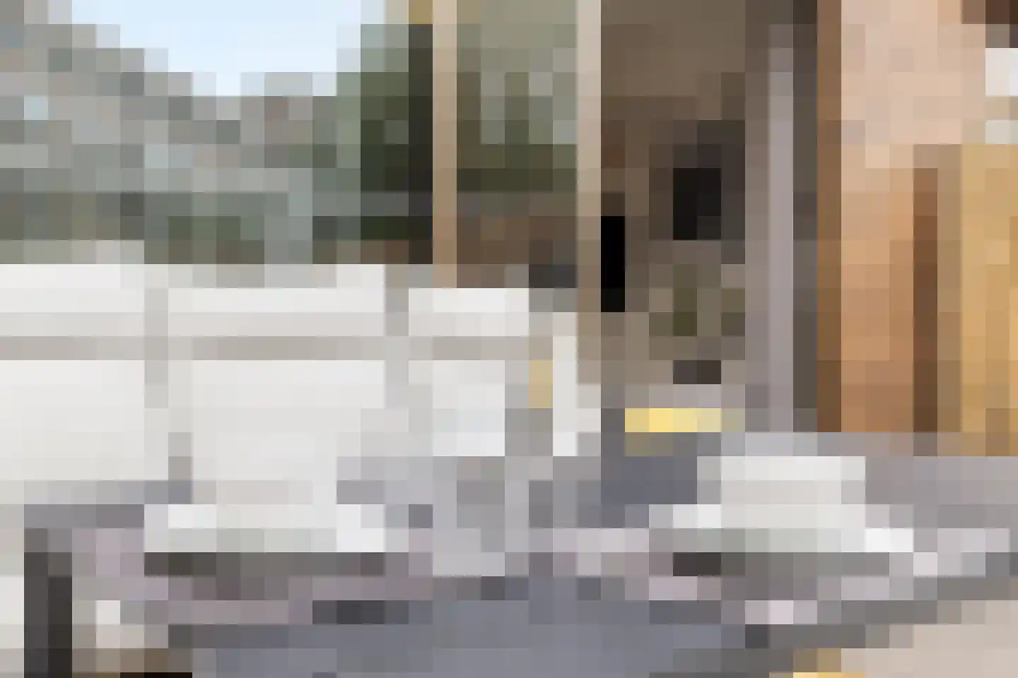 Lester Youngpad 7 Utrecht thumbnail 35
