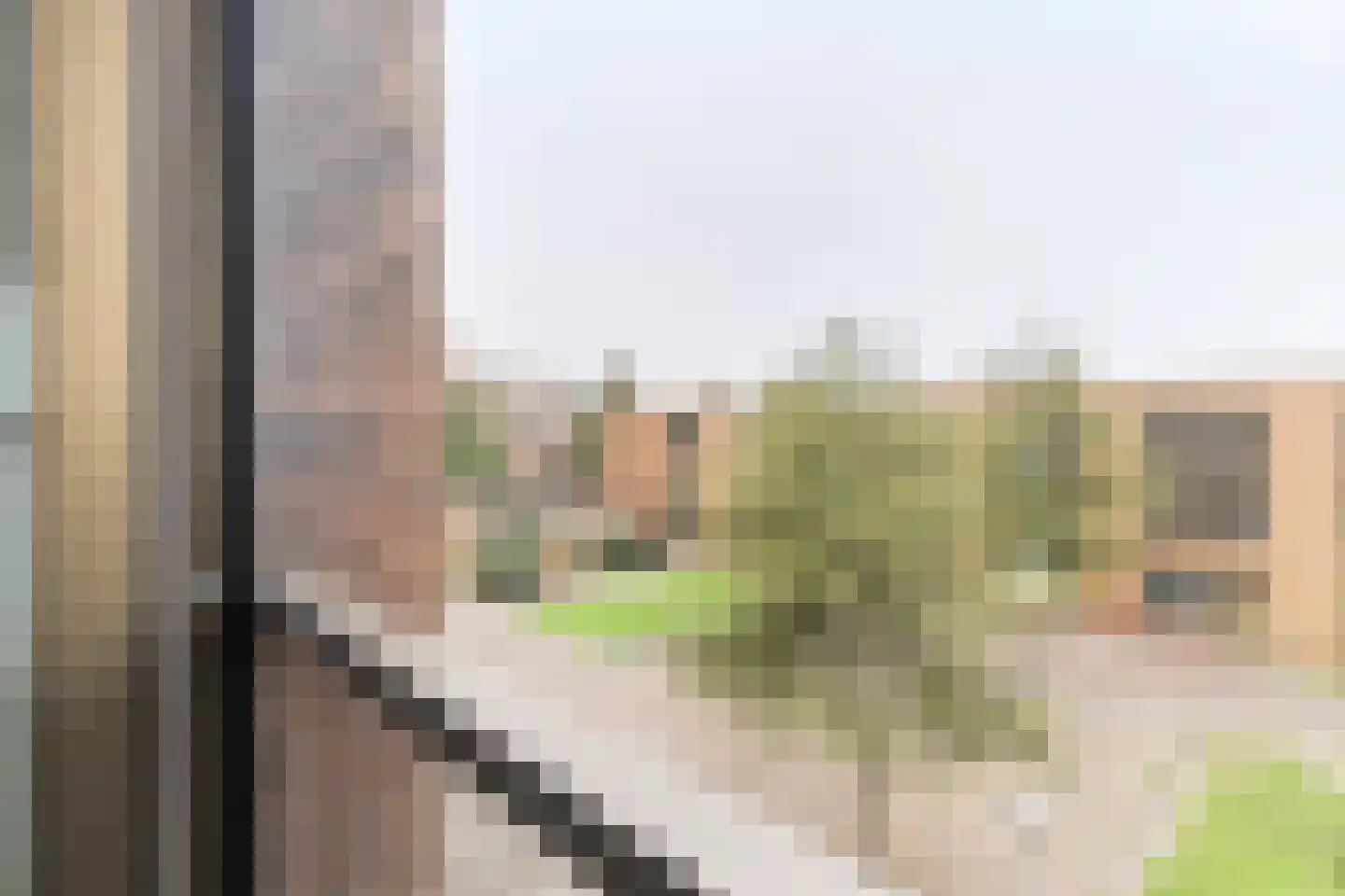 Lester Youngpad 7 Utrecht thumbnail 52