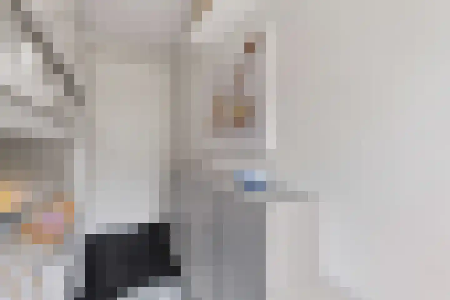 Lester Youngpad 7 Utrecht thumbnail 66