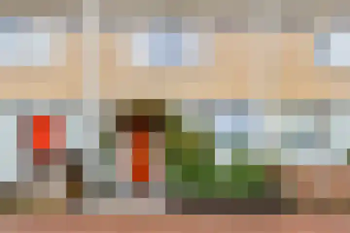 Lester Youngrode 18 in Zoetermeer