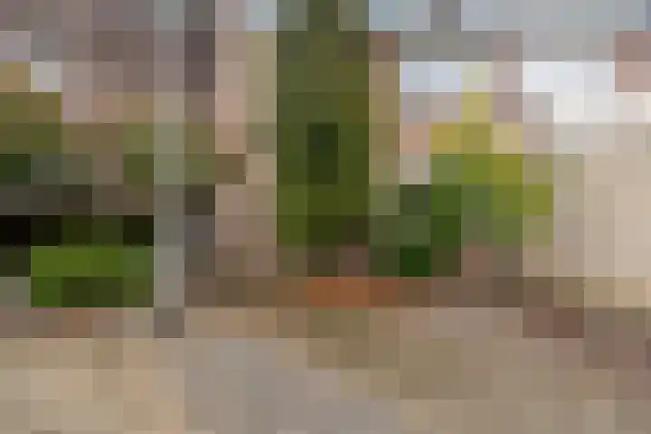 Lesterhuispad 33 Arnhem