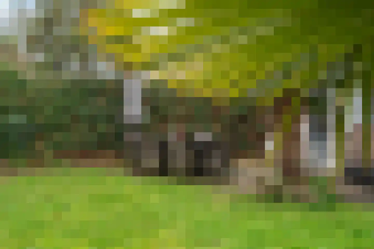 Lesterhuispad 33 Arnhem thumbnail 21