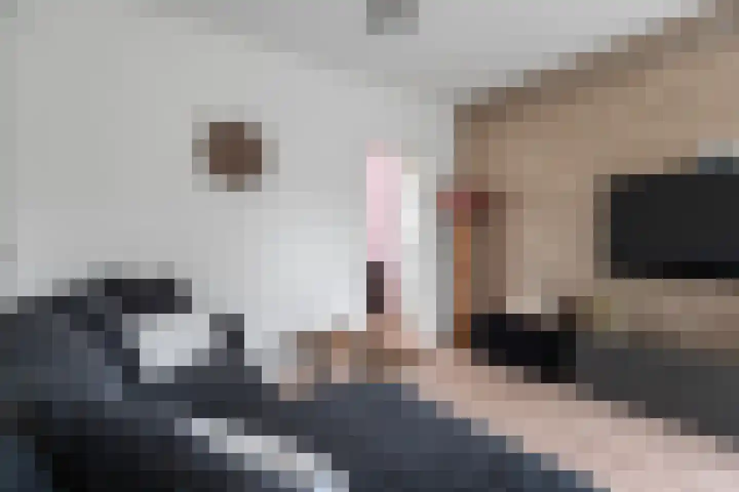Lesterhuispad 33 Arnhem thumbnail 6
