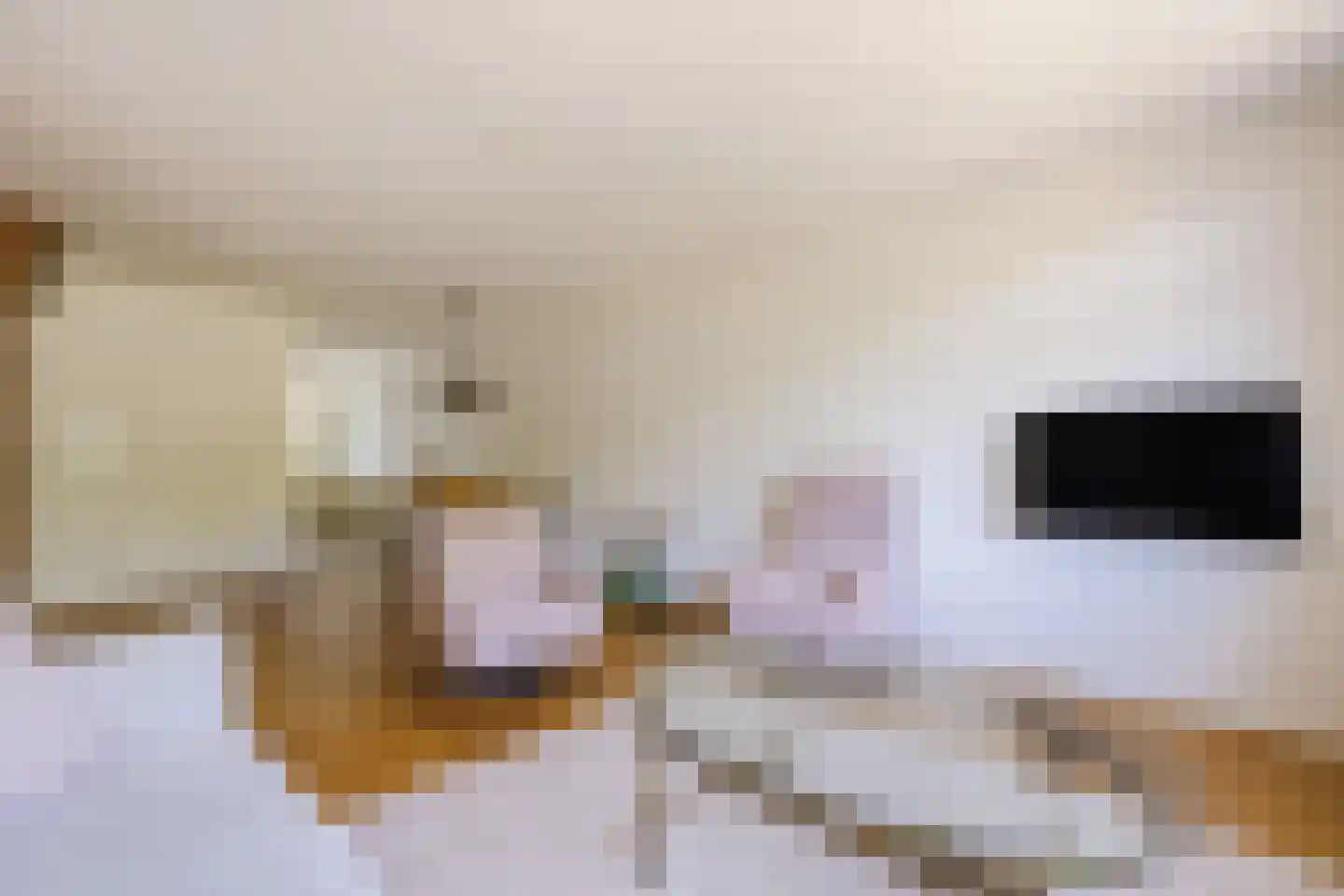 Lesturgeonplein 14 Vledder thumbnail 10