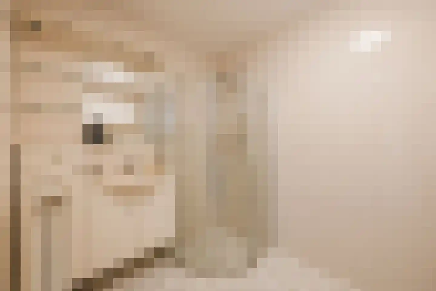 Lesturgeonplein 14 Vledder thumbnail 17
