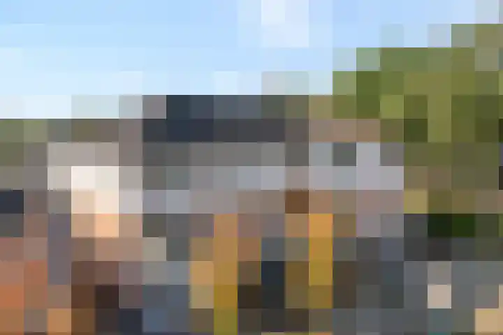 Lesturgeonplein 22 Vledder thumbnail 11