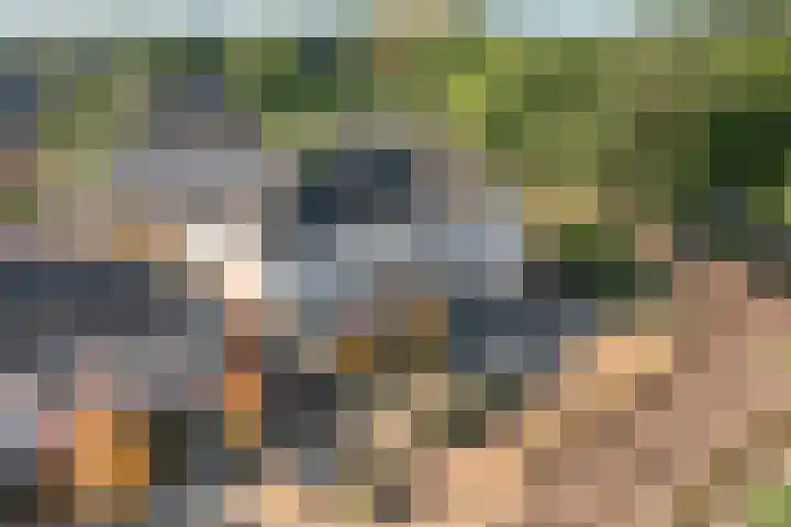 Lesturgeonplein 22 Vledder thumbnail 12
