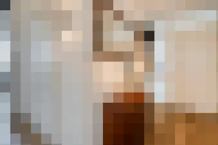 Lesturgeonplein 22 Vledder thumbnail 18