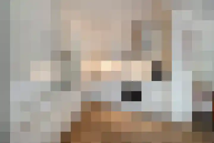 Lesturgeonplein 22 Vledder thumbnail 21