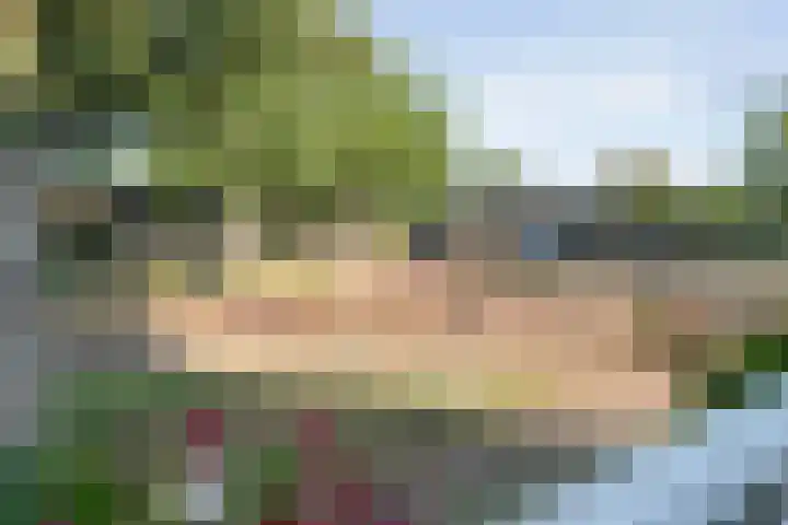 Lesturgeonplein 22 Vledder thumbnail 33