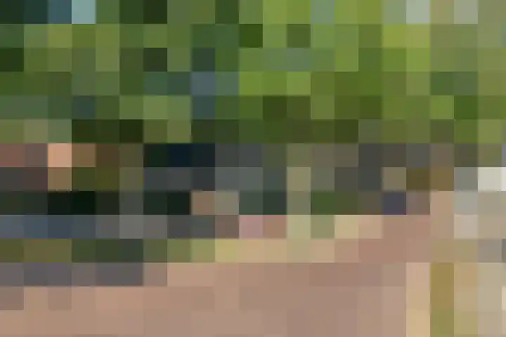 Lesturgeonplein 22 Vledder thumbnail 35