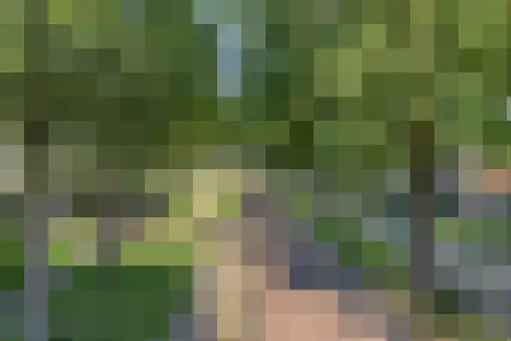Lesturgeonplein 22 Vledder thumbnail 36