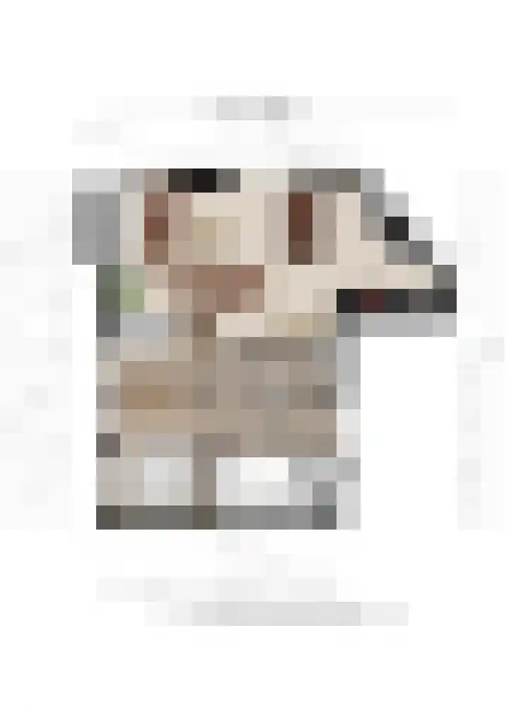 Lesturgeonplein 22 Vledder thumbnail 37