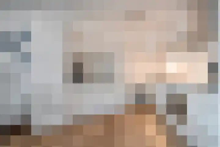 Lesturgeonplein 22 Vledder thumbnail 4
