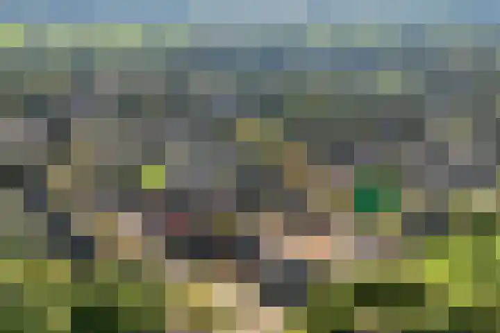 Lesturgeonplein 22 Vledder thumbnail 5