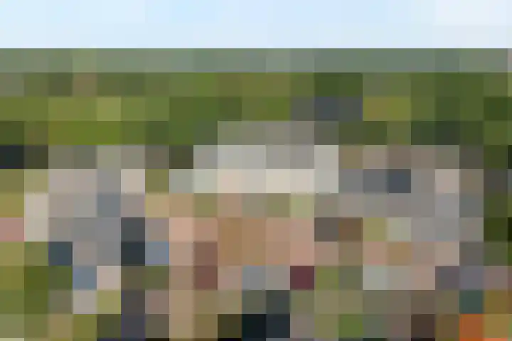 Lesturgeonplein 22 Vledder thumbnail 7