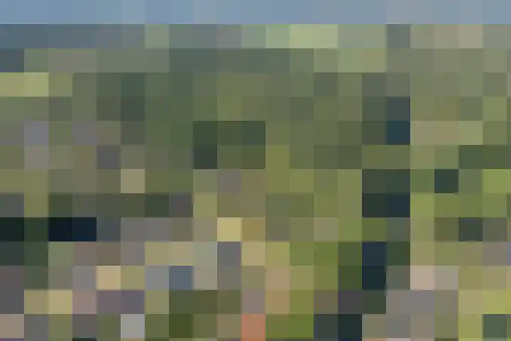 Lesturgeonplein 22 Vledder thumbnail 9