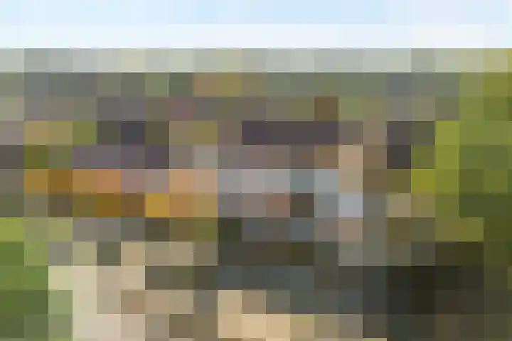 Lesturgeonplein 26 Vledder thumbnail 10