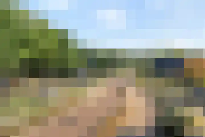 Lesturgeonplein 26 Vledder thumbnail 11