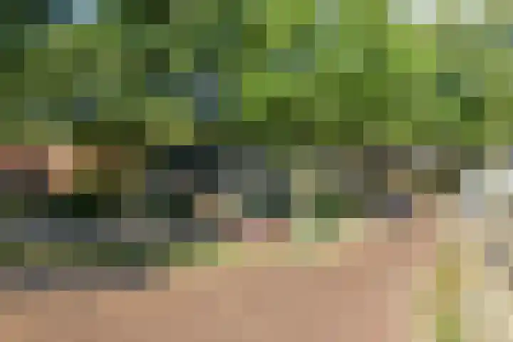 Lesturgeonplein 26 Vledder thumbnail 12