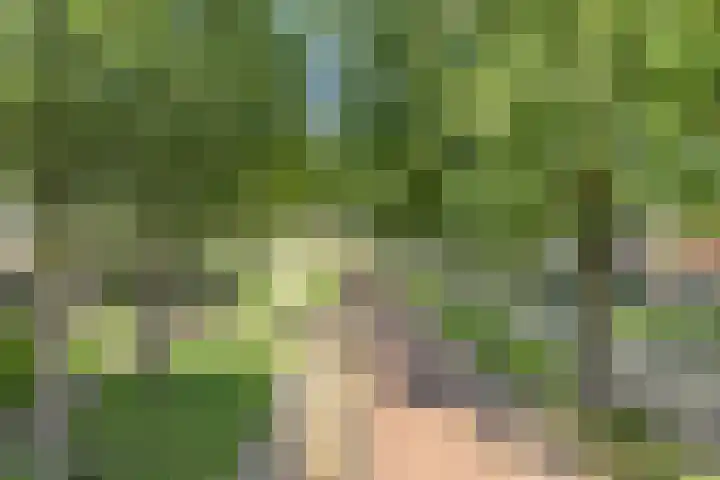Lesturgeonplein 26 Vledder thumbnail 13