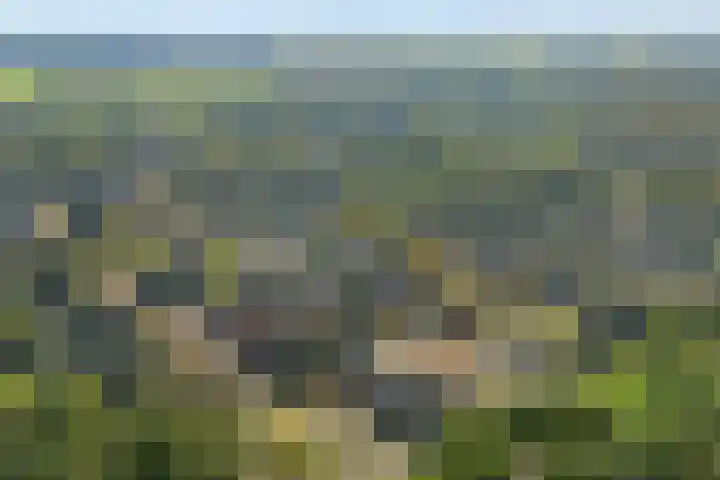 Lesturgeonplein 26 Vledder thumbnail 15