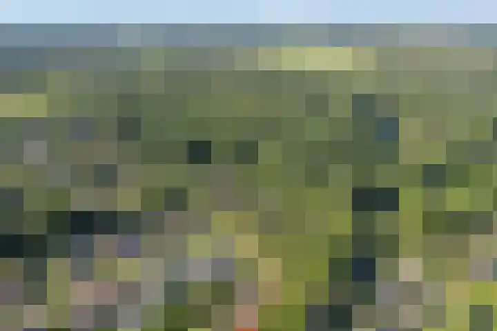 Lesturgeonplein 26 Vledder thumbnail 16