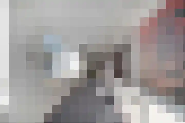 Lesturgeonplein 26 Vledder thumbnail 23