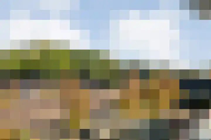 Lesturgeonplein 26 Vledder thumbnail 33