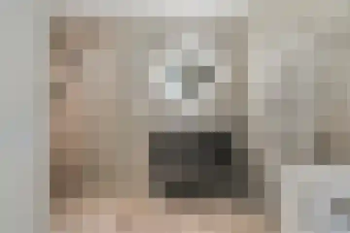 Lesturgeonplein 26 Vledder thumbnail 38