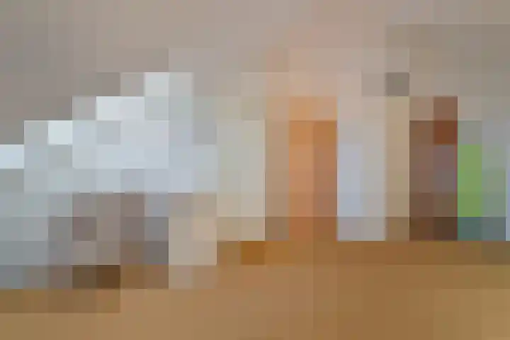 Lesturgeonplein 26 Vledder thumbnail 43