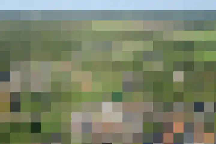 Lesturgeonplein 26 Vledder thumbnail 5
