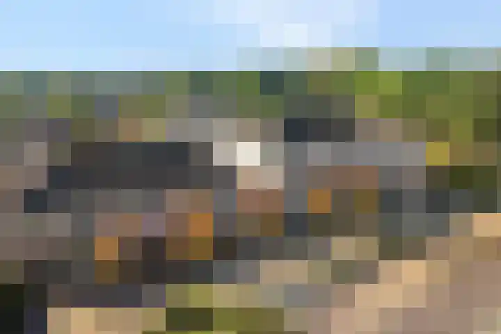 Lesturgeonplein 26 Vledder thumbnail 8