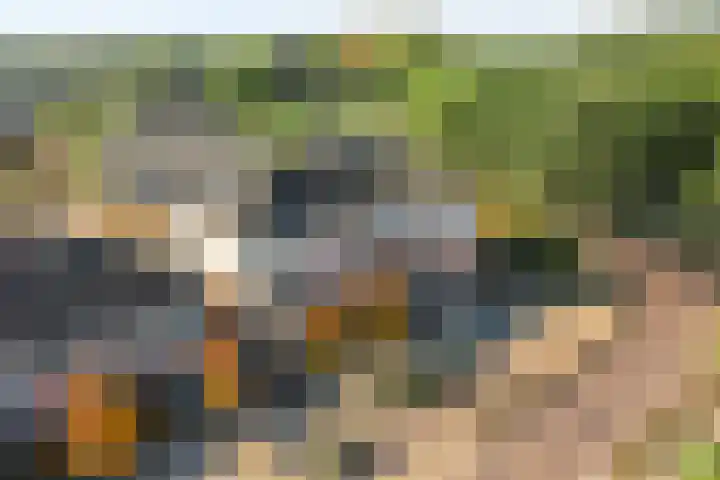 Lesturgeonplein 26 Vledder thumbnail 9