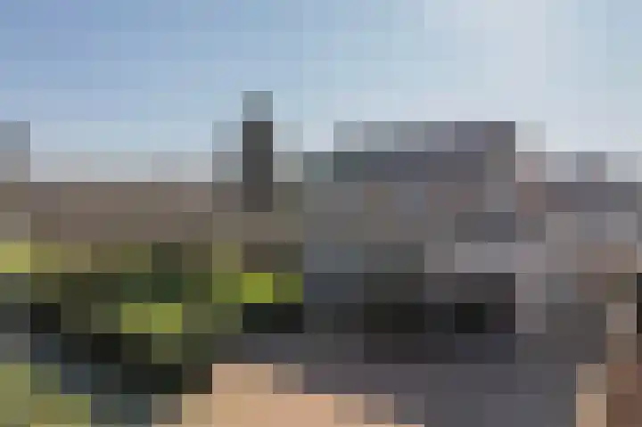 Lesturgeonstraat 1 Coevorden