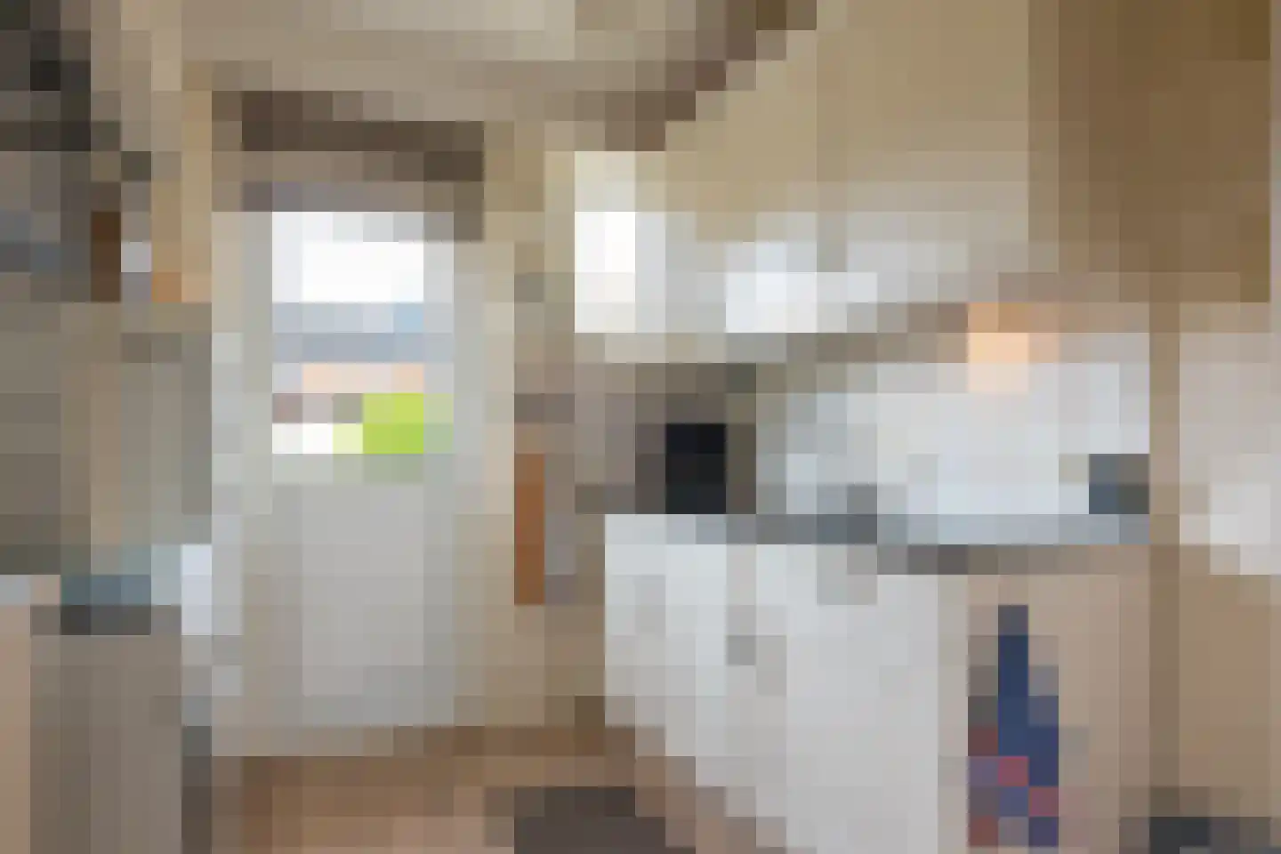Lesturgeonstraat 30 Assen thumbnail 10