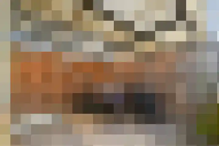 Lethmaetstraat 11 Gouda thumbnail 30