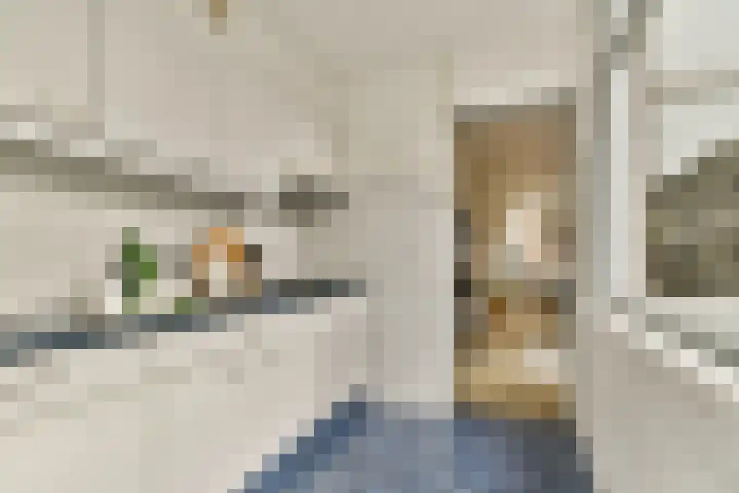 Lethmaetstraat 40 Gouda thumbnail 14