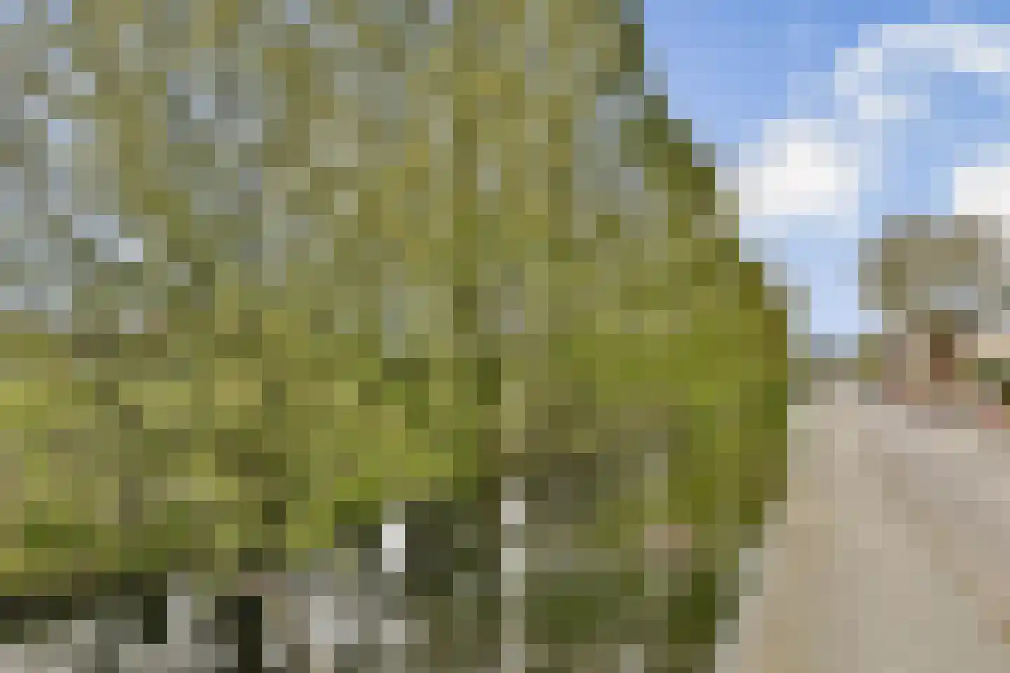 Lethmaetstraat 40 Gouda thumbnail 31