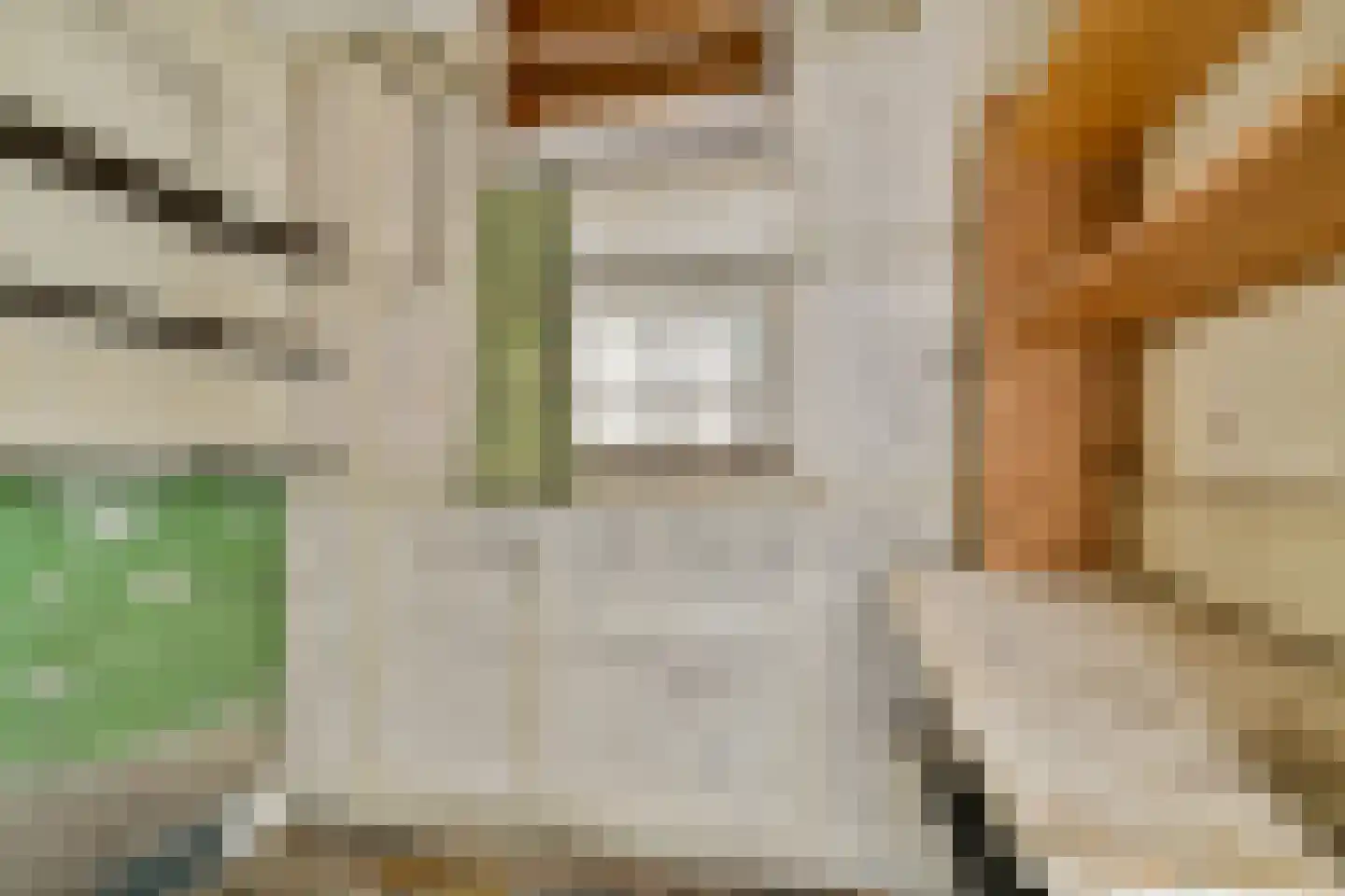 Lethmaetstraat 53 Gouda thumbnail 17