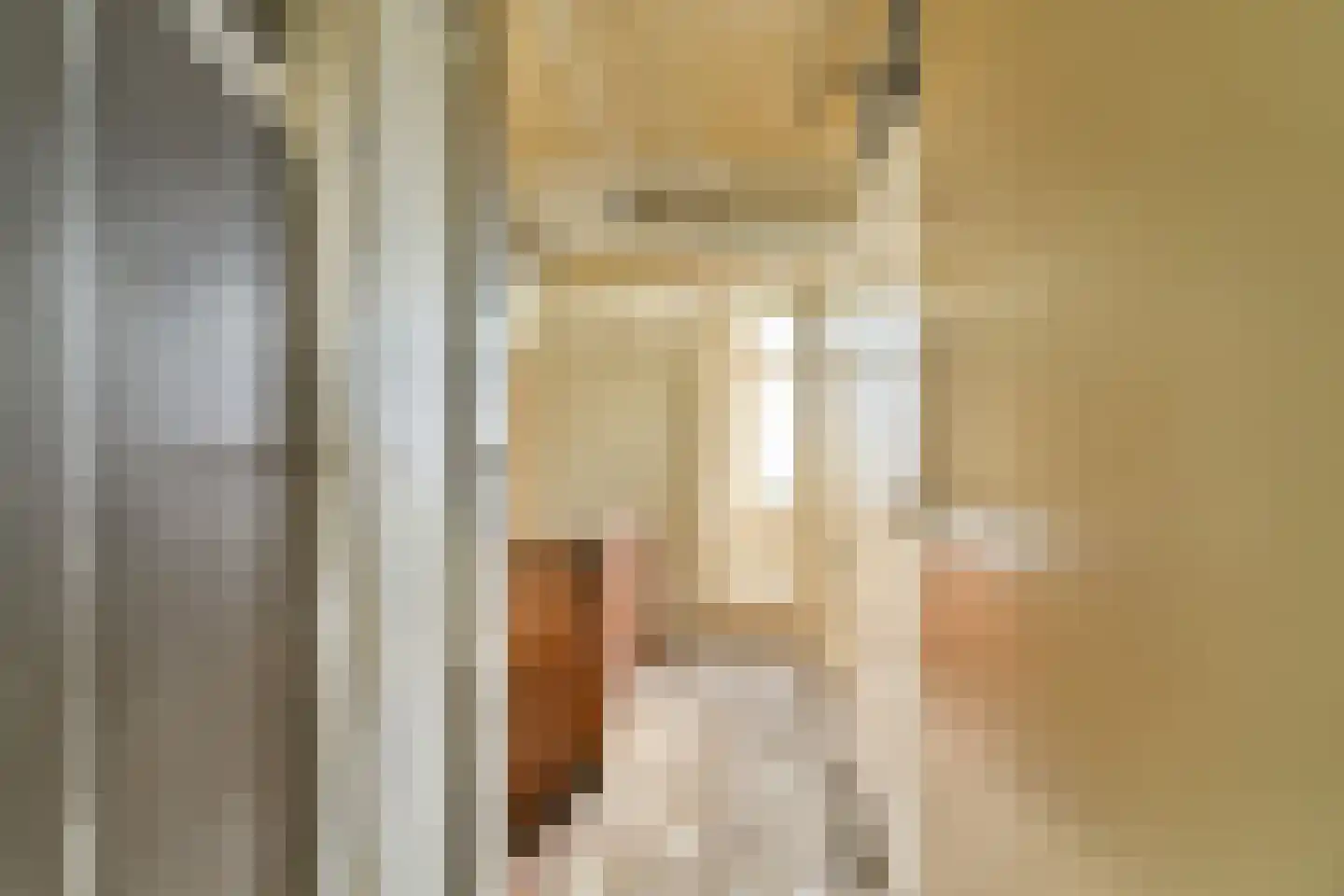 Lethmaetstraat 53 Gouda thumbnail 19
