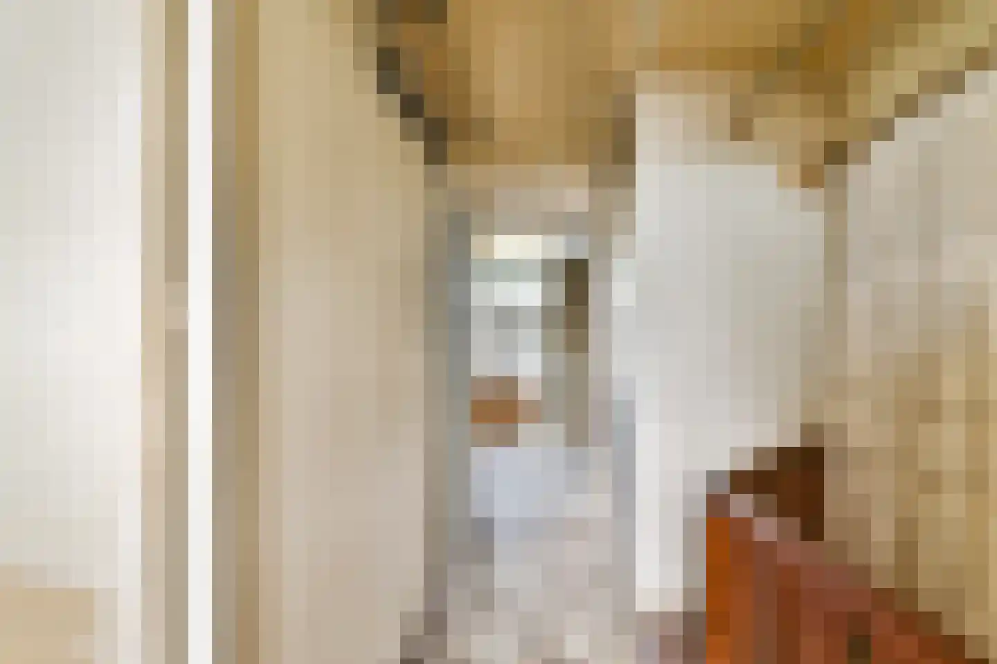 Lethmaetstraat 53 Gouda thumbnail 20