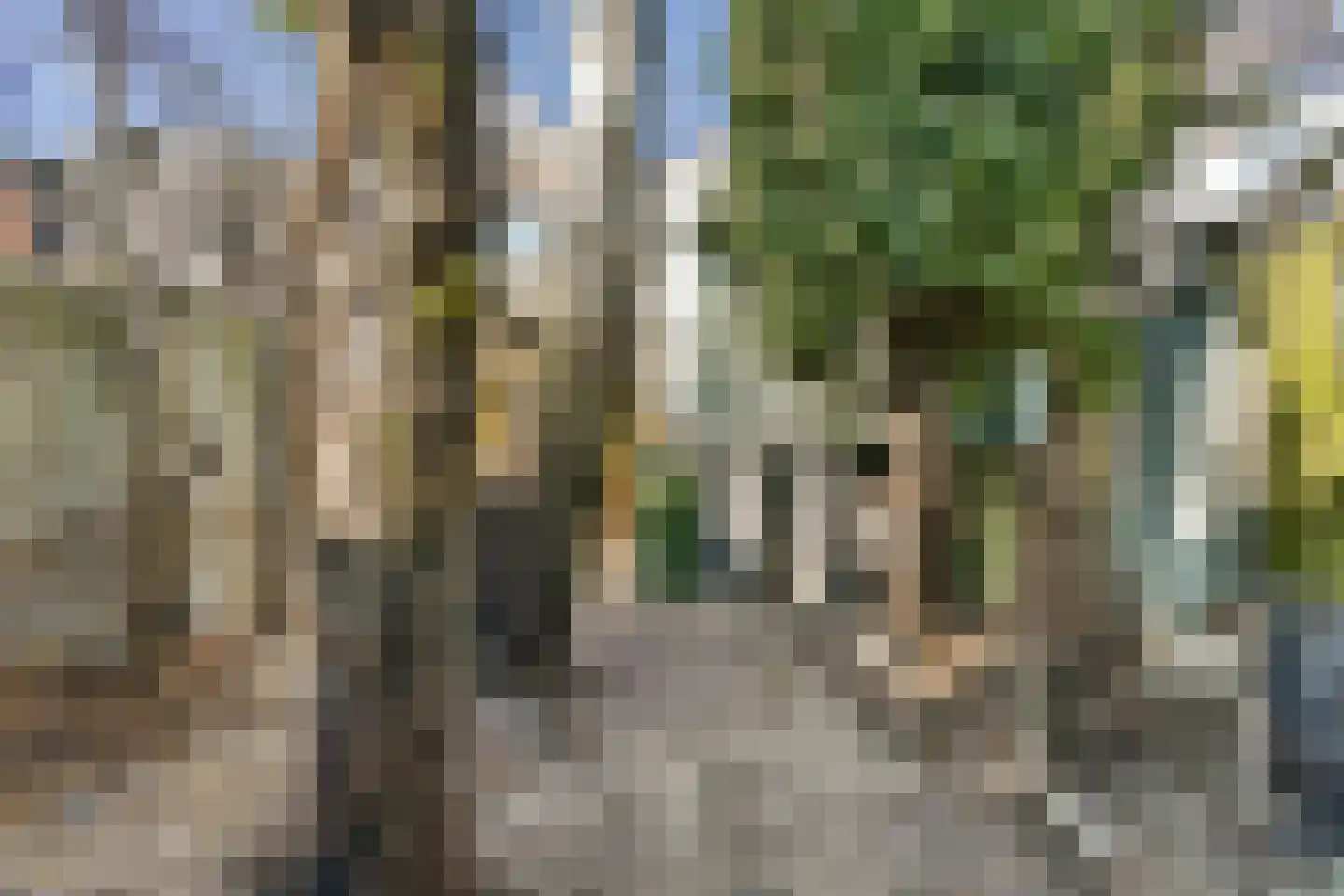 Lethmaetstraat 53 Gouda thumbnail 26