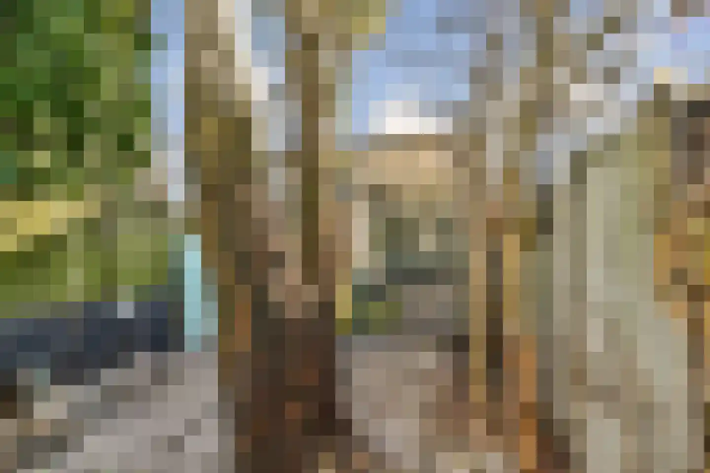 Lethmaetstraat 53 Gouda thumbnail 29